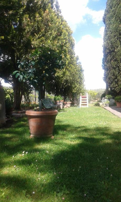 La Vecchia Quercia Villa Pergine Valdarno Bagian luar foto