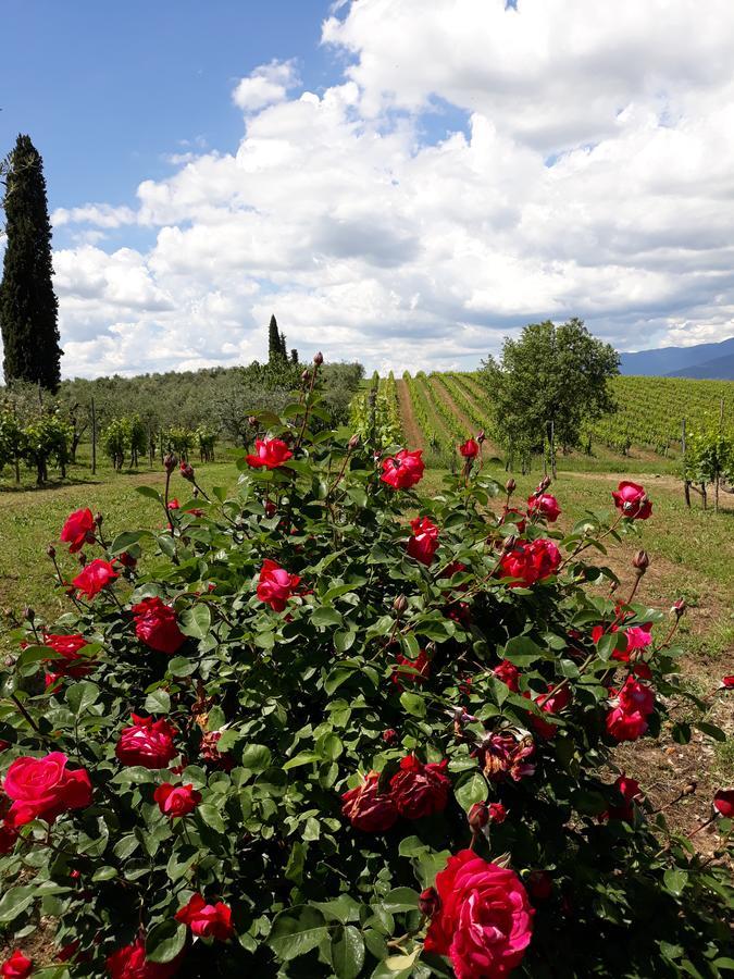 La Vecchia Quercia Villa Pergine Valdarno Bagian luar foto